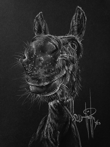 Donkey 6x8 Charcoal wMat $100