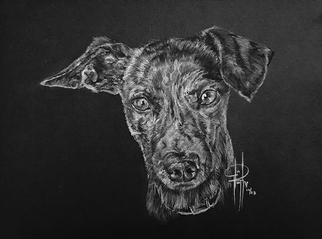Commission 12x9