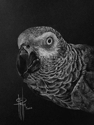 Parrot 6x8 Charcoal wMat $75
