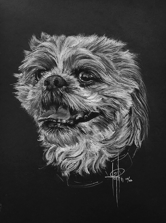 Commission 9x12 Benny