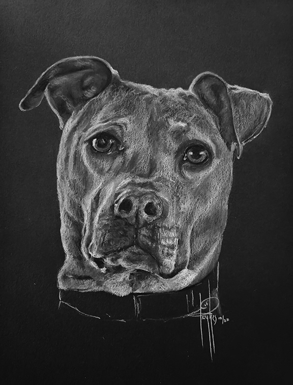 Commission 9x12 Finn