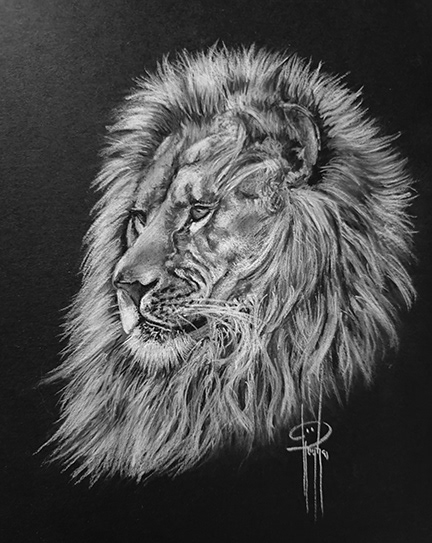 Lion 6x8 Charcoal wMat $75