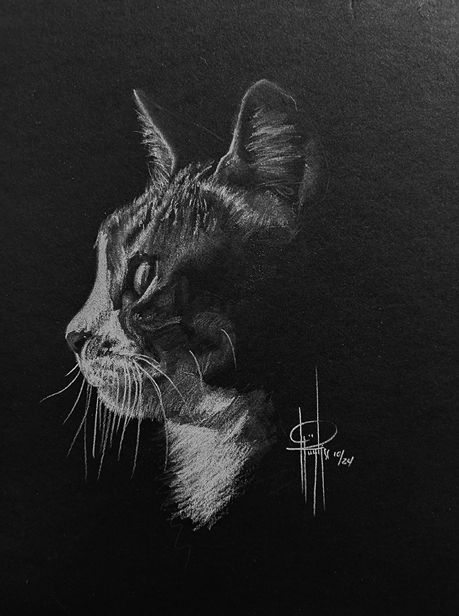 Rebel 9x12