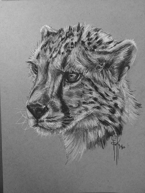 Cheetah Charcoal 9x12 SOLD