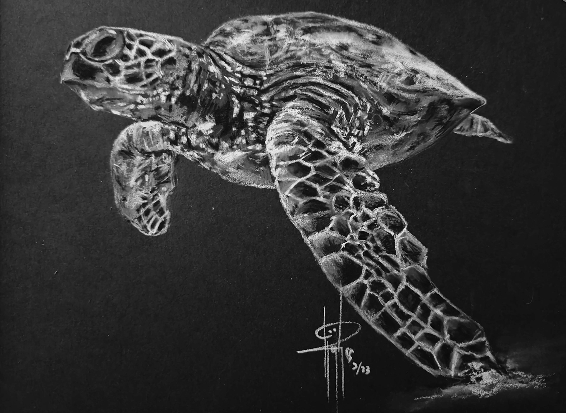 Turtle 6x8 Charcoal $125 Framed