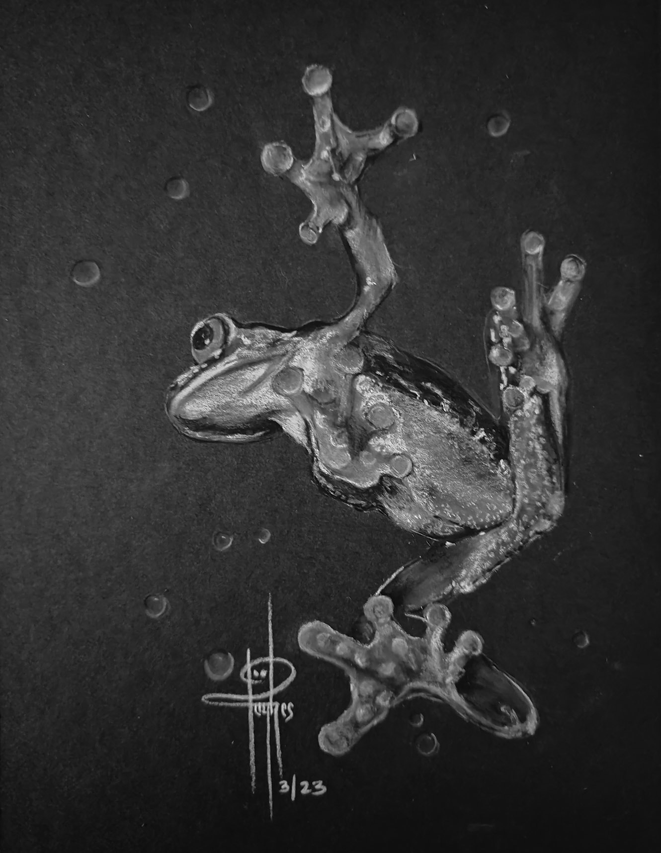 Ribbit 6x8 Charcoal wMat $100