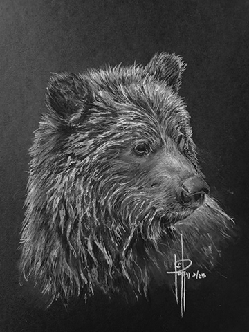 Bear 6x8 Charcoal wMat $75