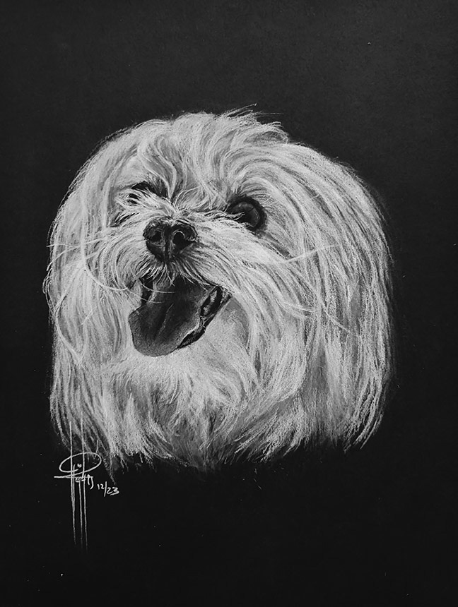 Commission 9x12