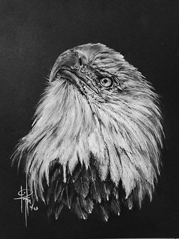 Eagle 6x8 wMat $75