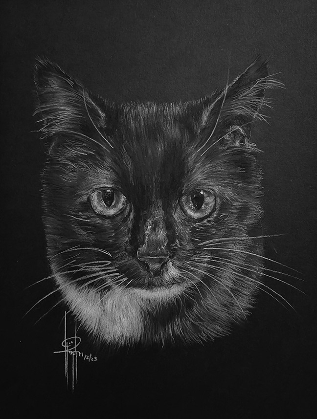 Commission 9x12