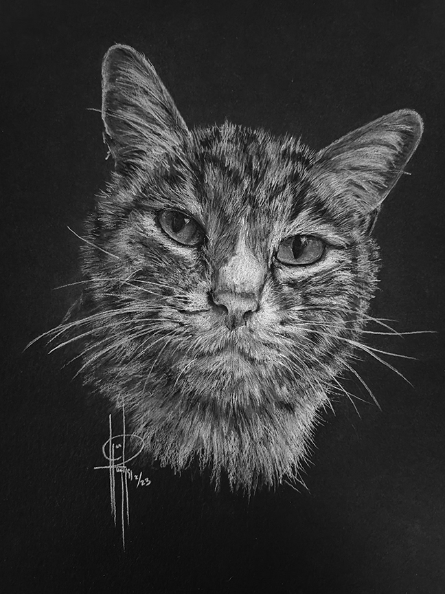 Lil Kit - Birthday Gift 9x12 Strathmore Mixed Media paper