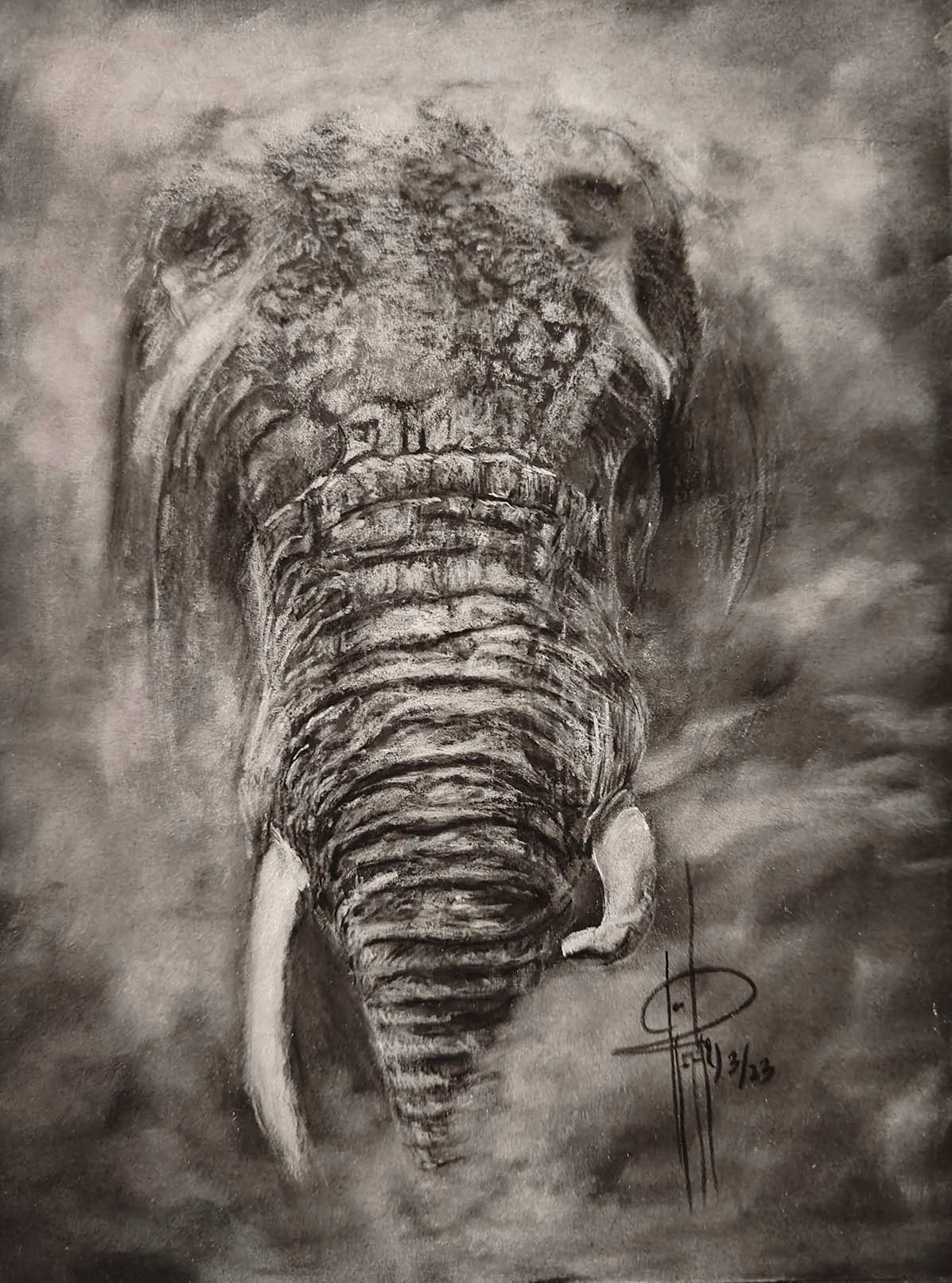 Stampede6x8 Charcoal wMat $100