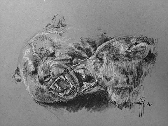 At Play Charcoal 9x12 $250