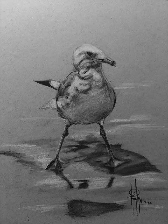 Seagull Charcoal 9x12 SOLD