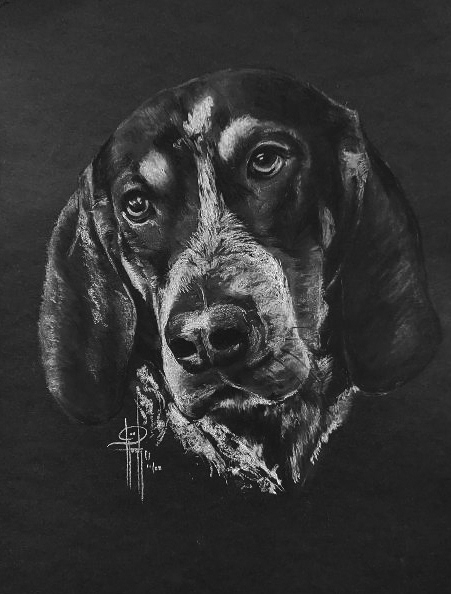 Hound 9x12 Charcoal