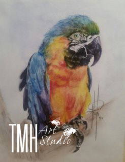 Parrot - watercolor on Stratmore