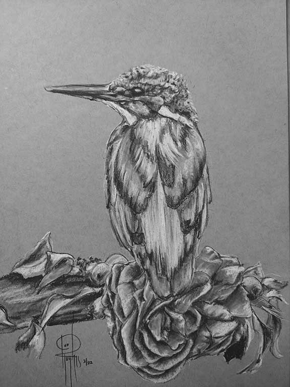 Kingfisher Charcoal 9x12 SOLD
