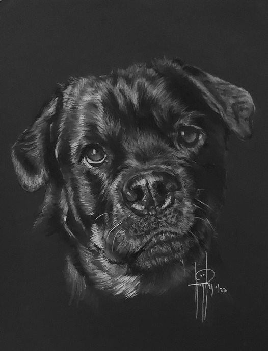 Rottweiler 9x12 Charcoal