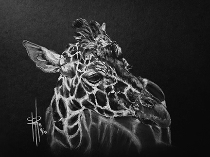 Giraffe 6x8 Charcoal wMat $100