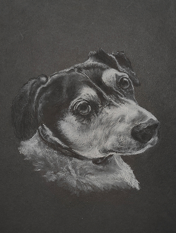 Commission 9x12 Buckeye