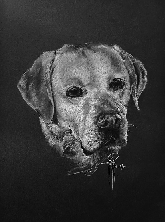 Commission 9x12 Mack