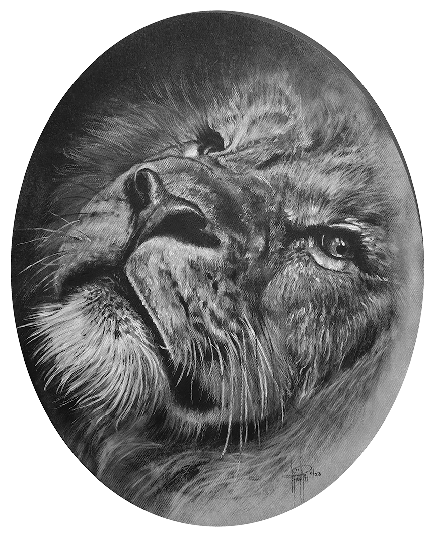 Lion on Oval Canvas 20x16