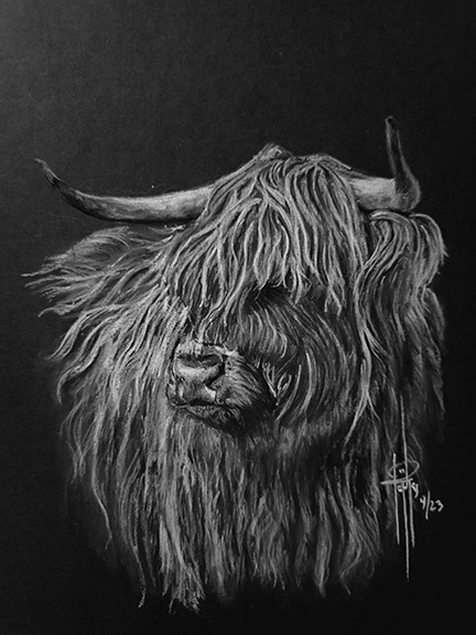 Wooly 6x8 Charcoal wMat $100