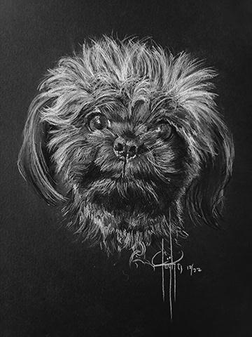 Commission 9x12