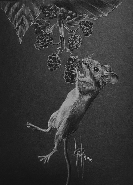 Field Mouse 6x8 wMat $75