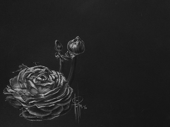 Rose 9x12 Charcoal $225 with frame
