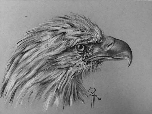 Eagle Charcoal 9x12 $250