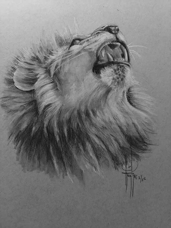 Roar Charcoal 9x12 $250