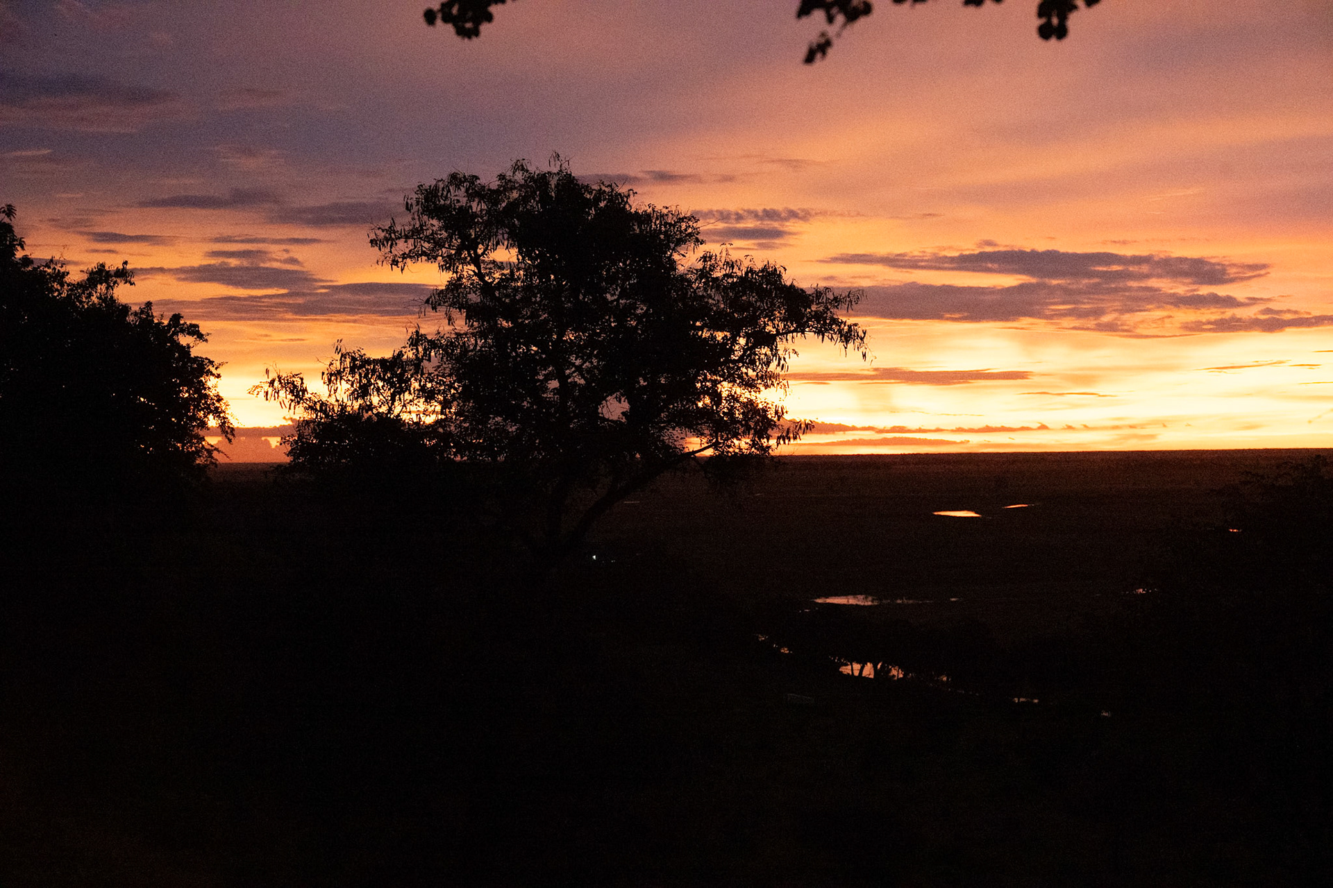 Munchje Safari Lodge, Chobe National Park, Botwsana