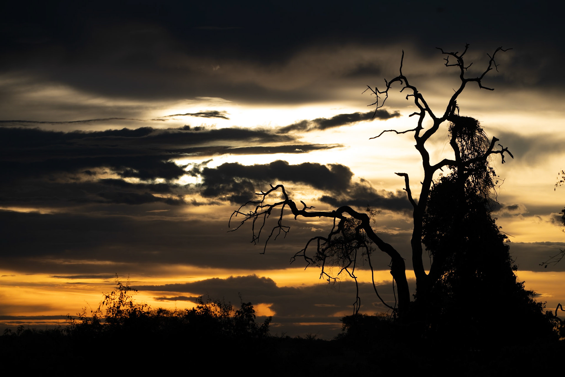 Munchje Safari Lodge, Chobe National Park, Botwsana