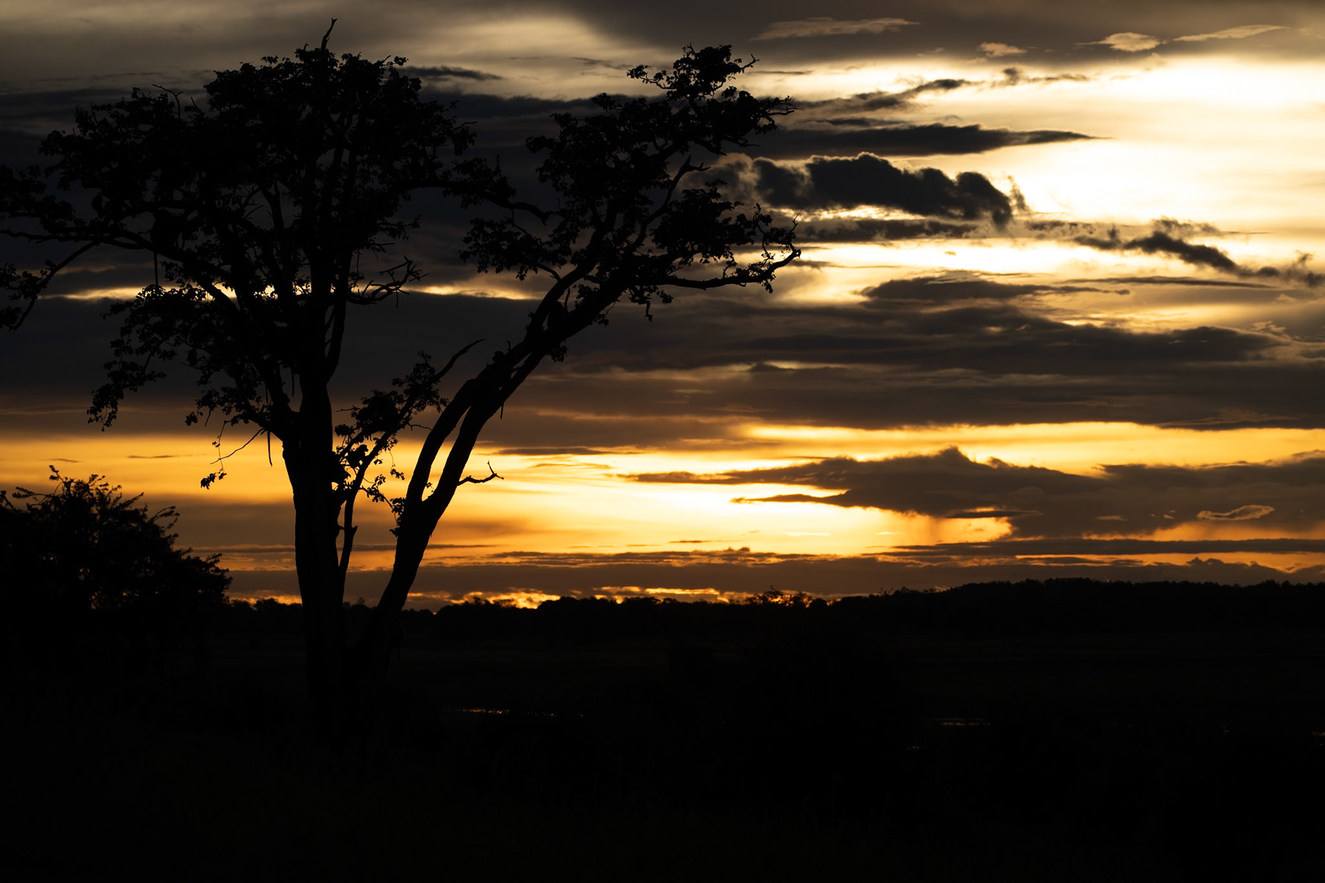 Munchje Safari Lodge, Chobe National Park, Botwsana