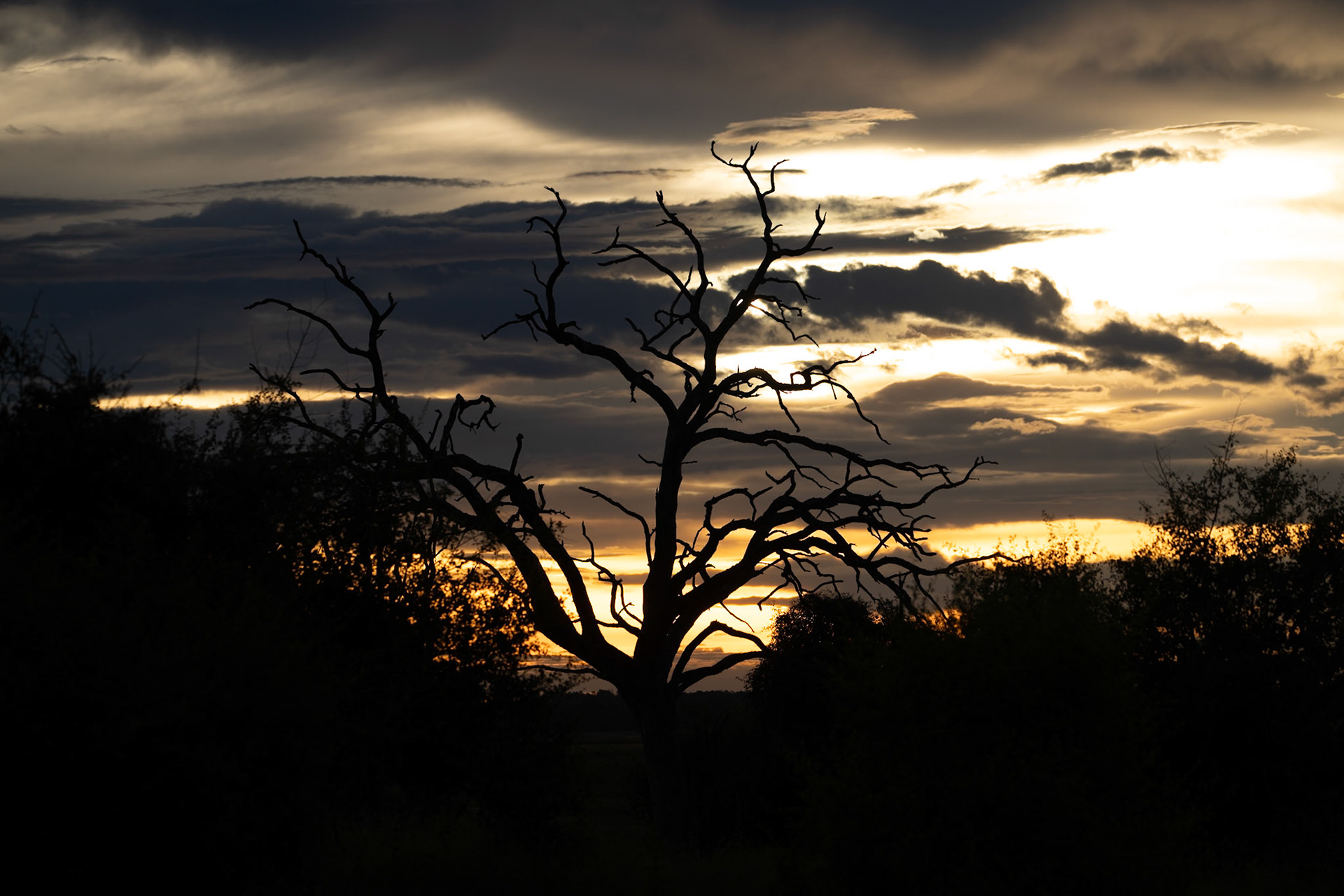 Munchje Safari Lodge, Chobe National Park, Botwsana