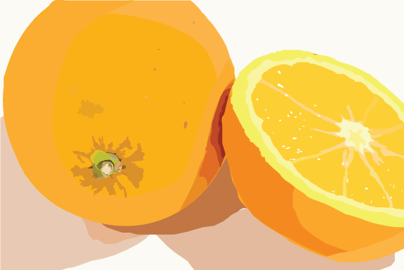 Realistic Vector Illustration