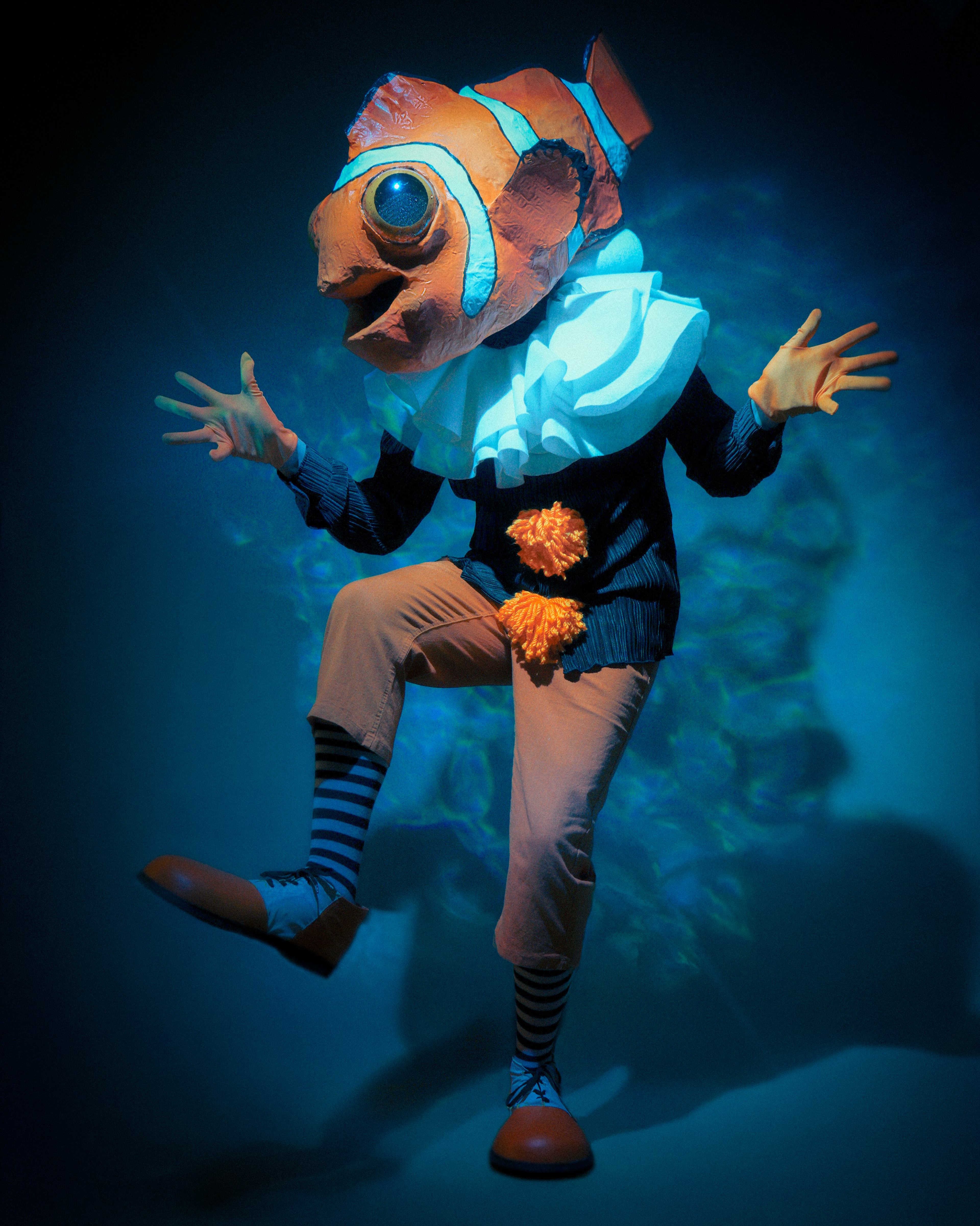 Clownfish
