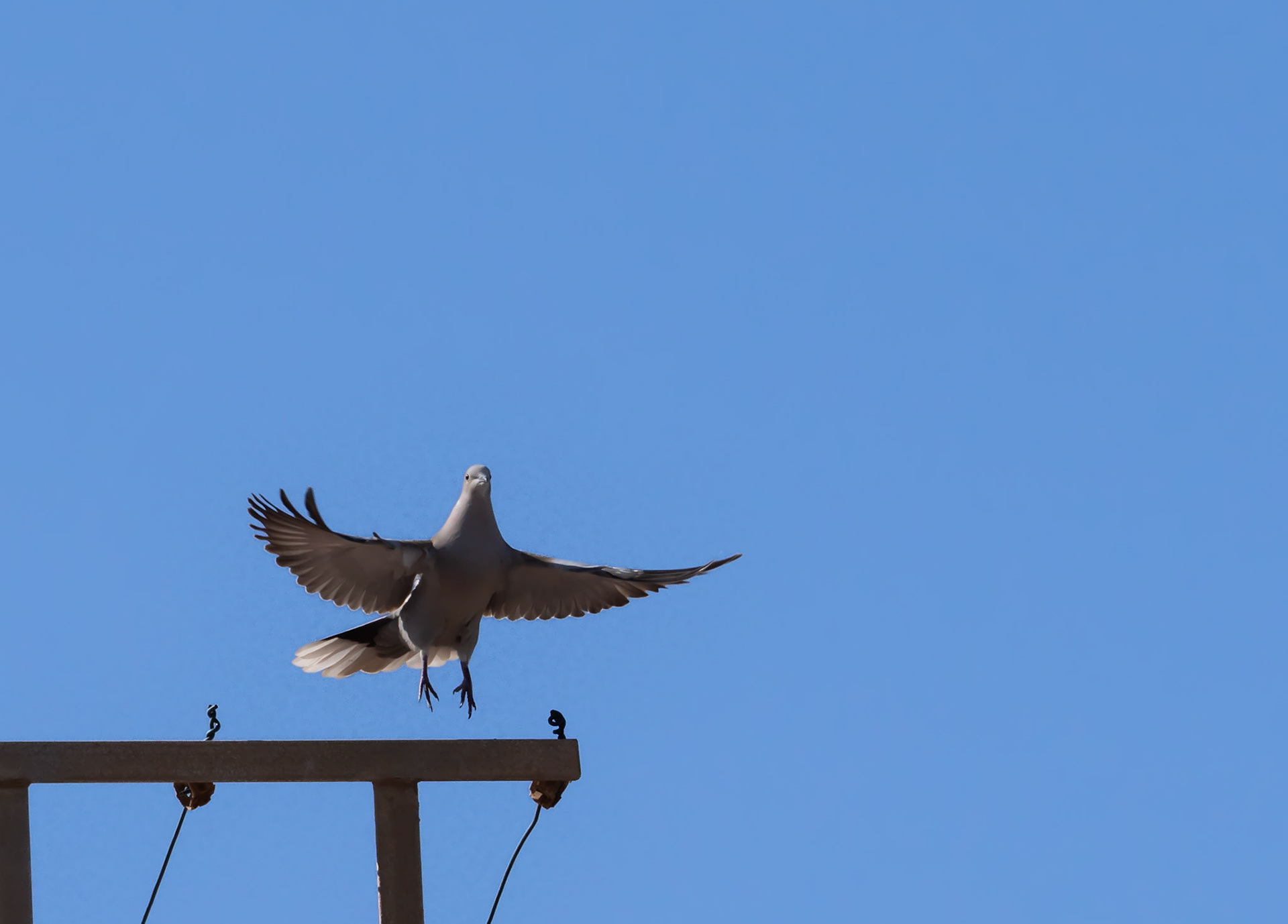 Take-off