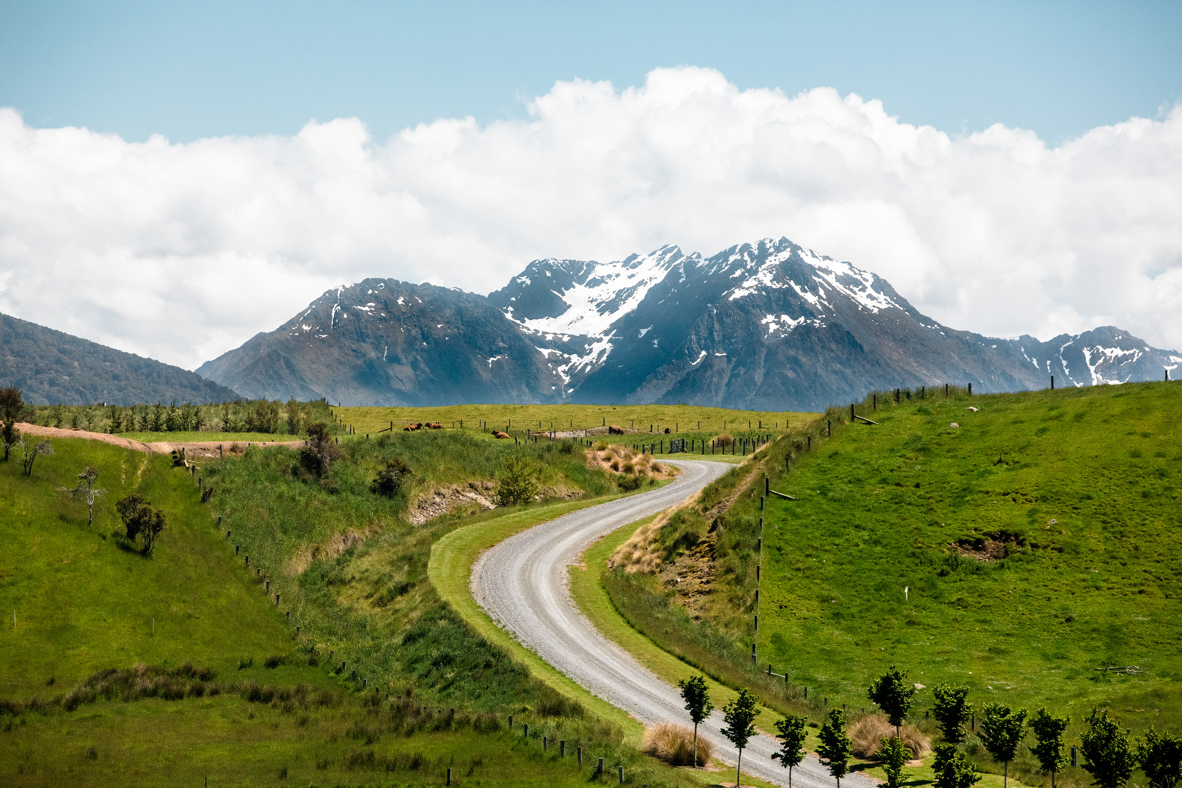 Entering the Fjords of New Zealand