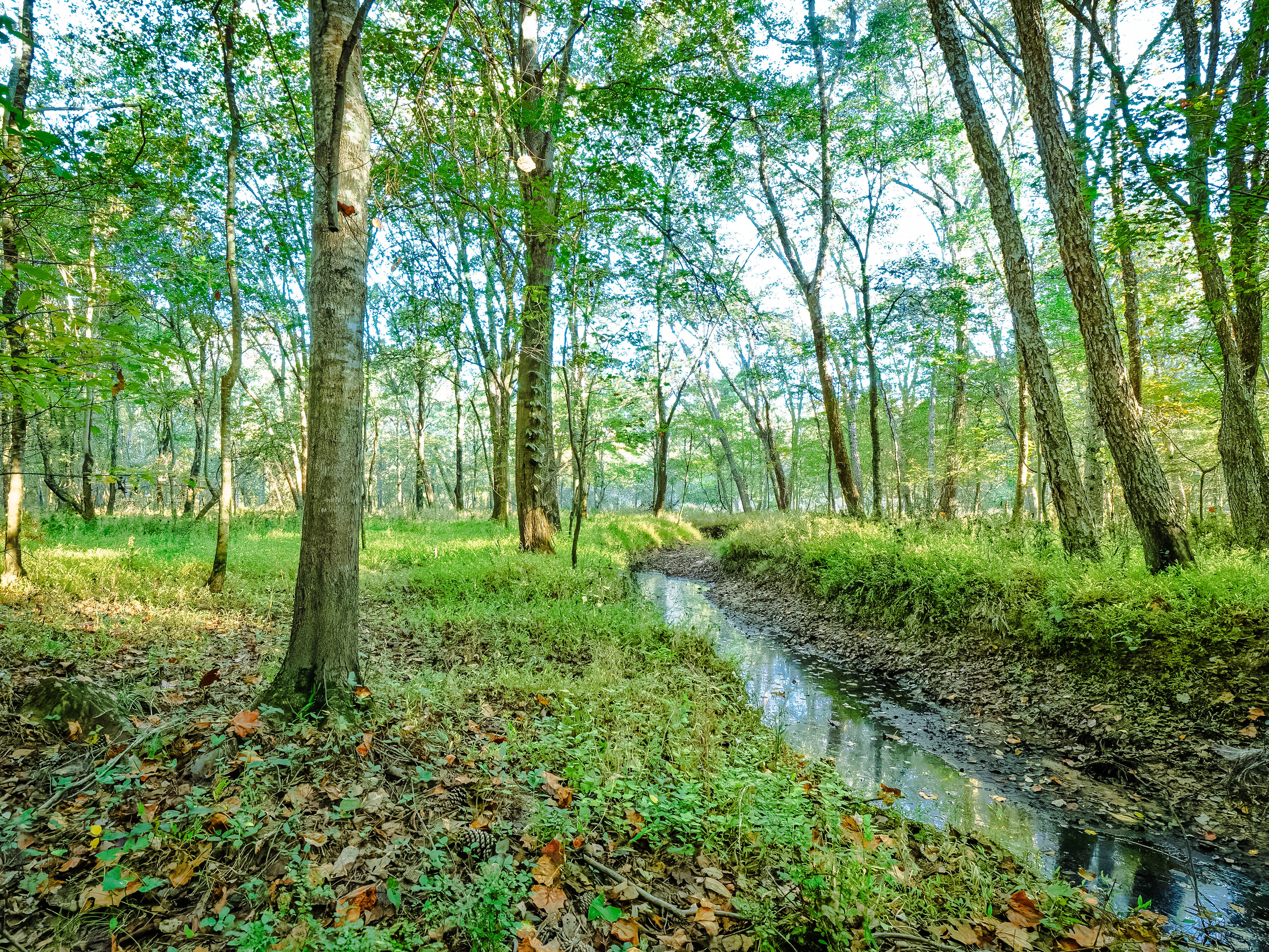 Below Miller Lake at Little Mulberry Park in Northeast Georgia.