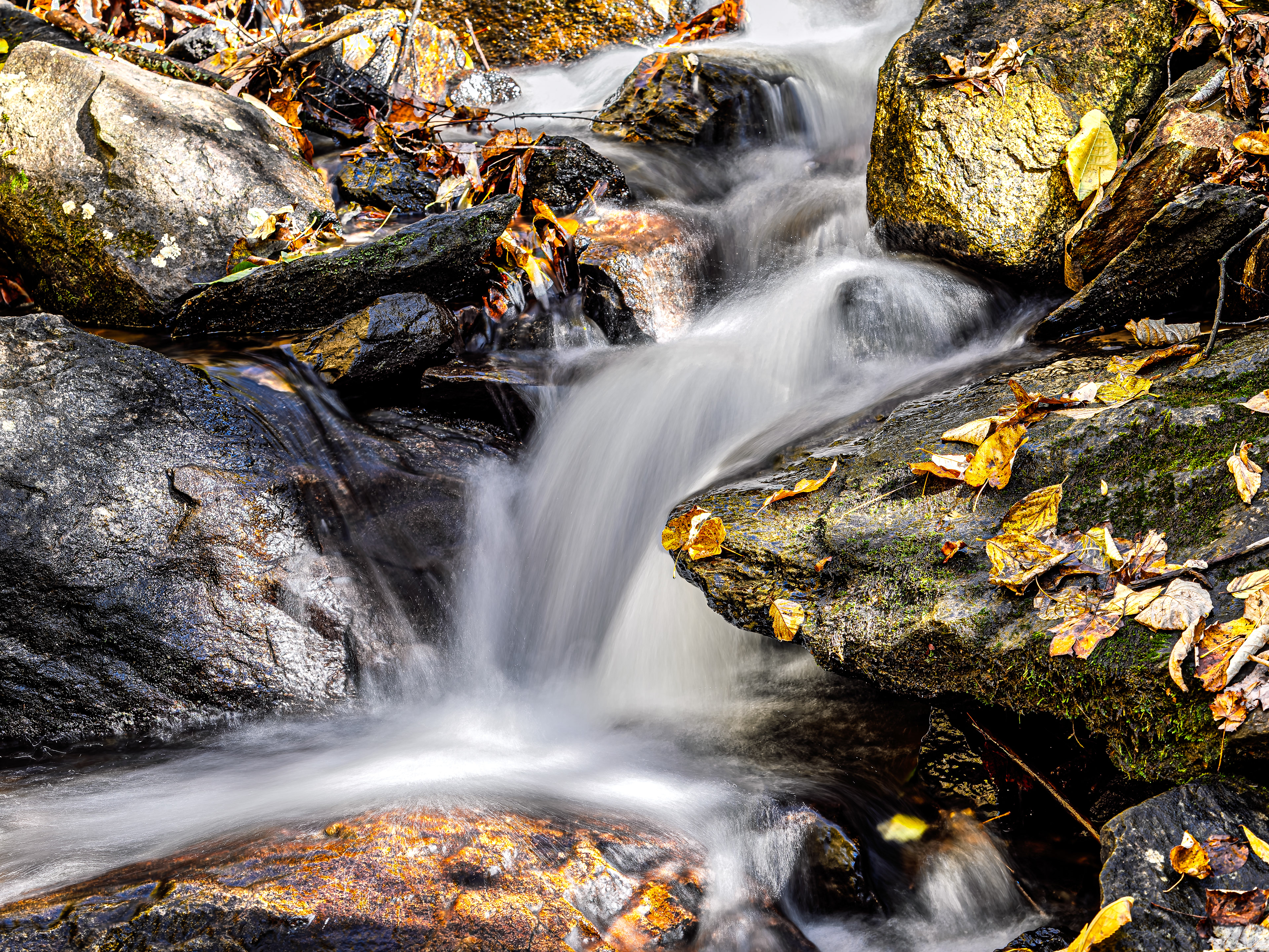  Amicalola Falls in Northeast Georgia on an autumn afternoon.