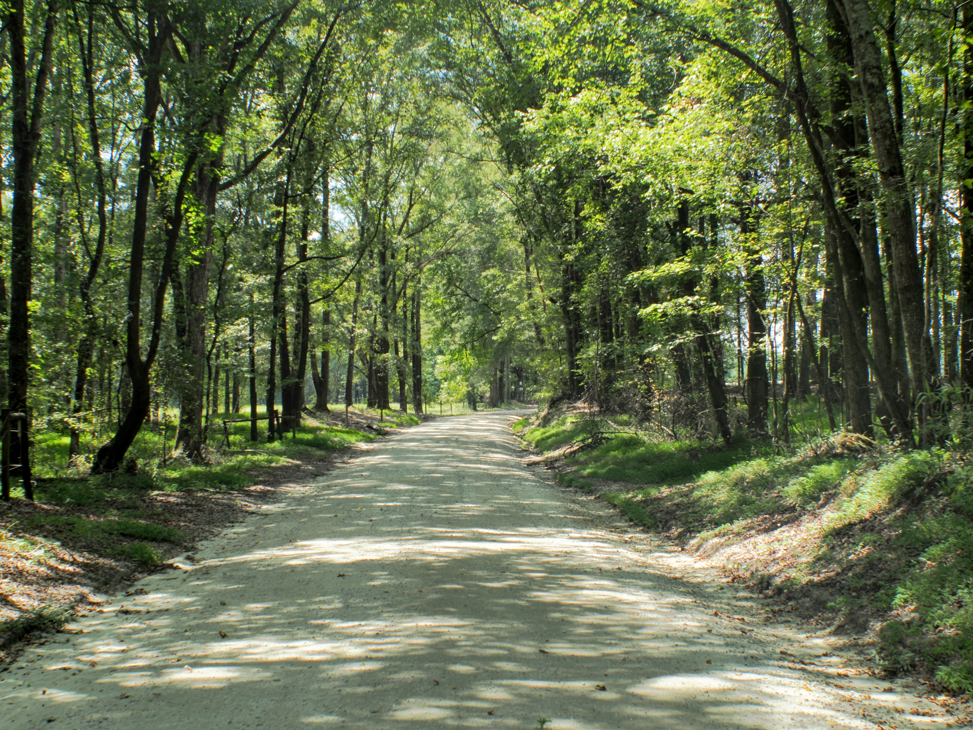 Indian Creek Road in Hoschton Georgia.