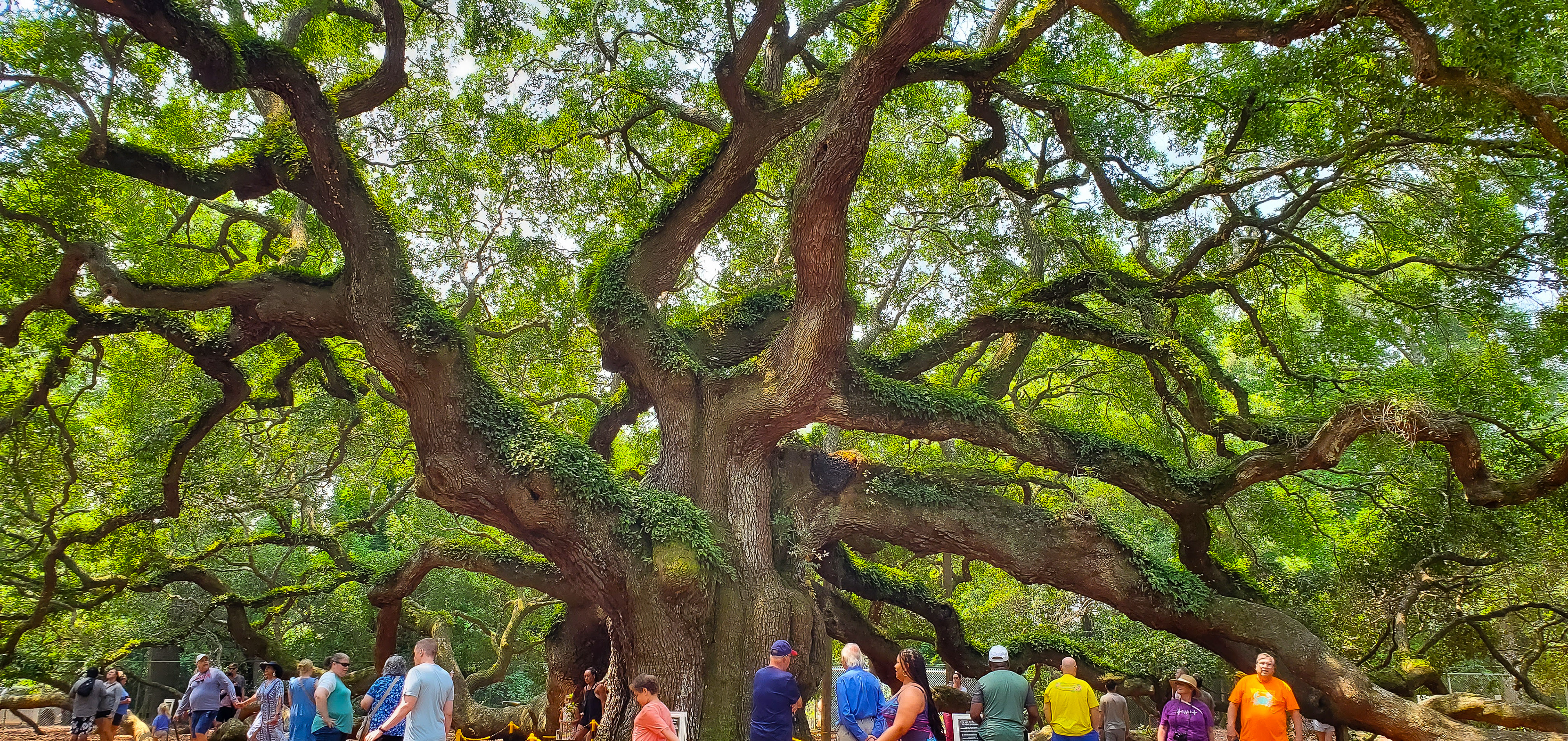 June, 2023 | Angel Oak