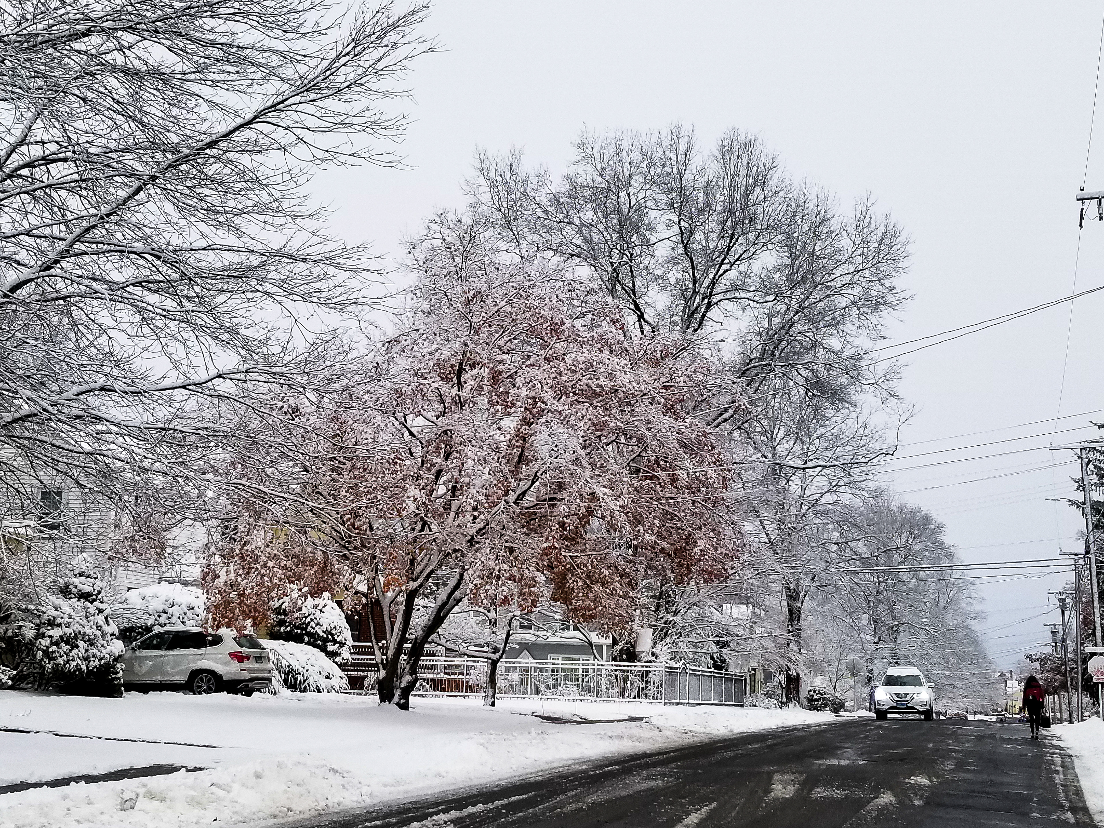 February, 2022 | West Hartford Street