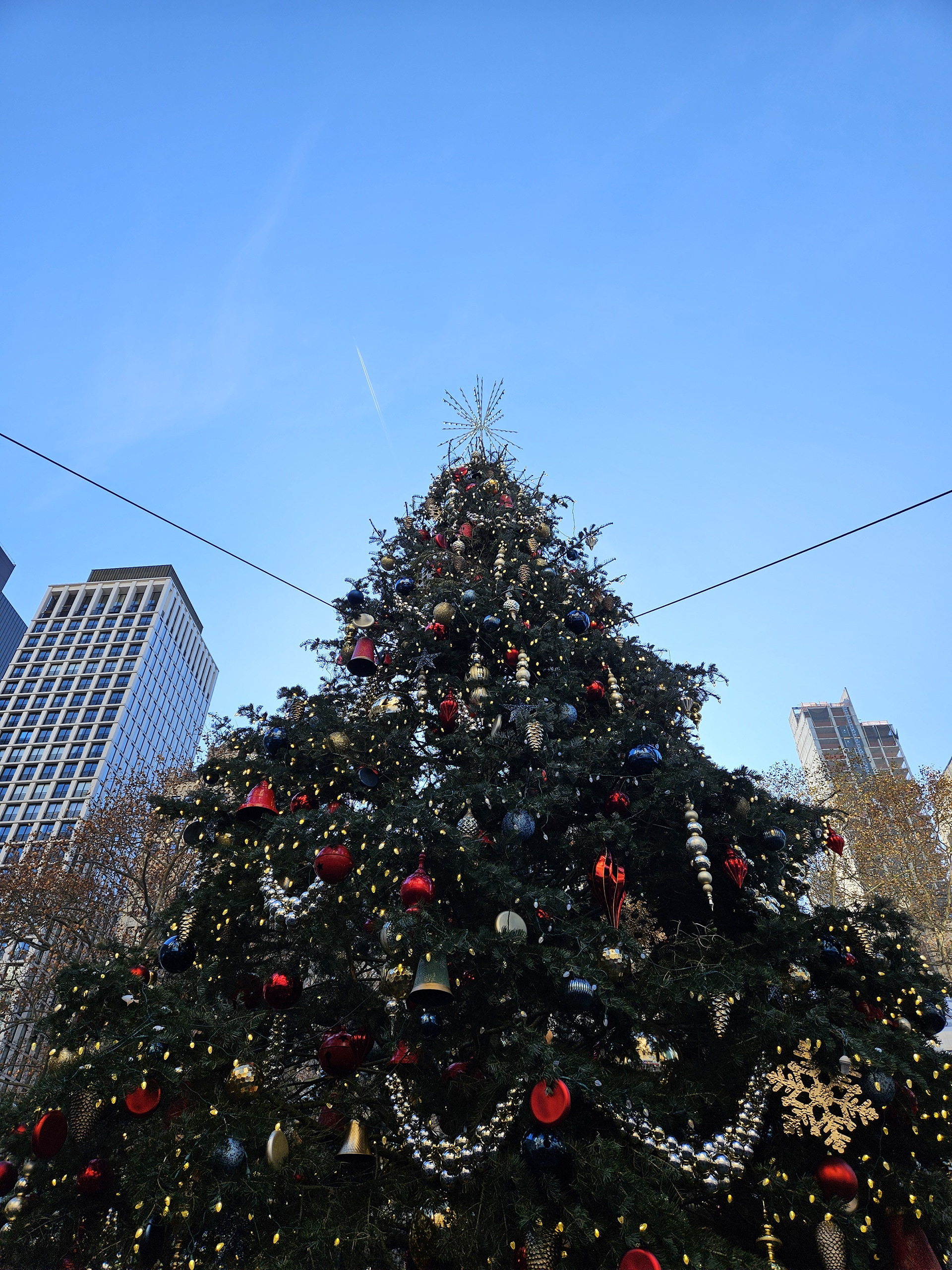 December, 2024 | Christmas in NYC