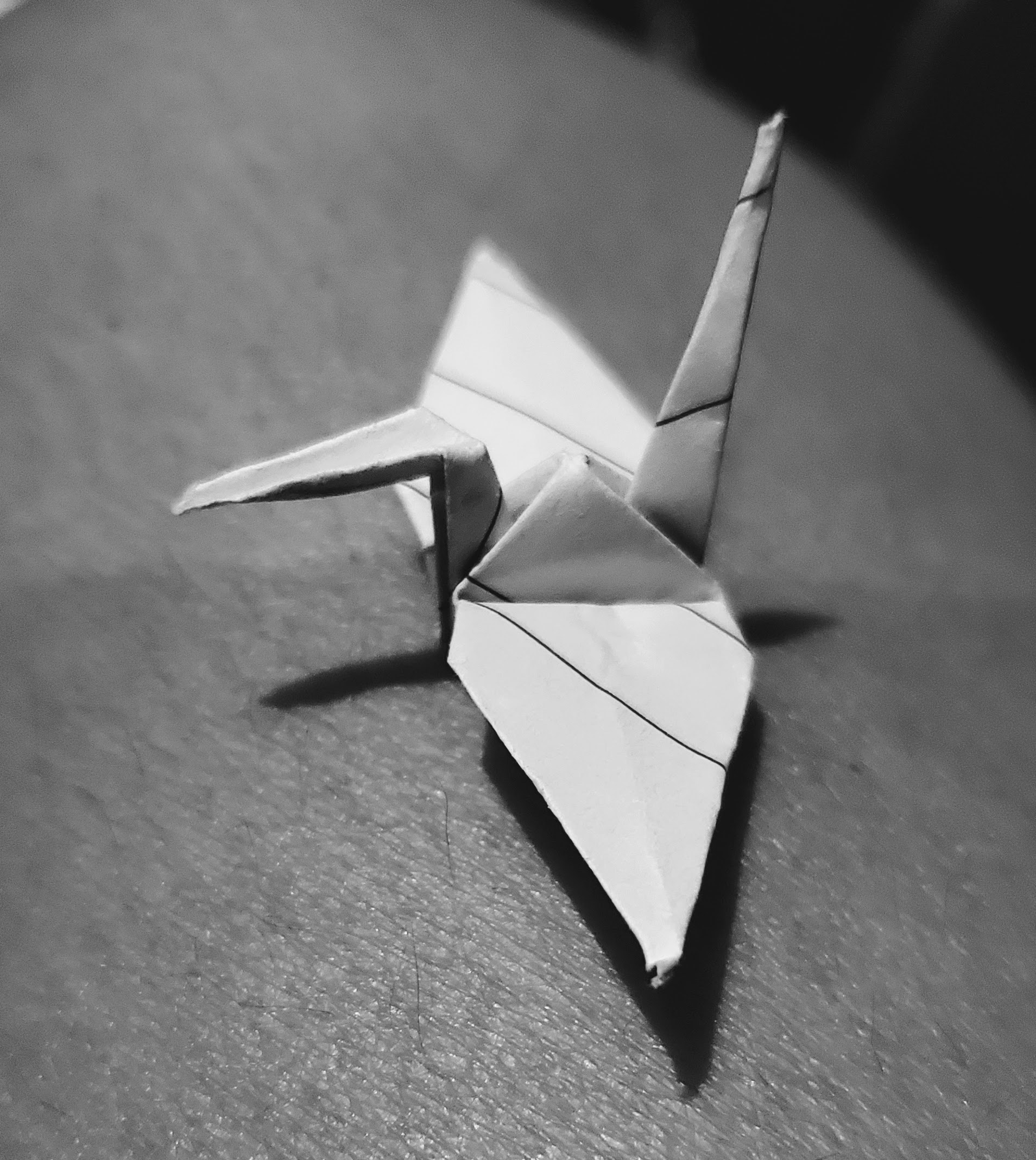 August, 2023 | Paper Crane