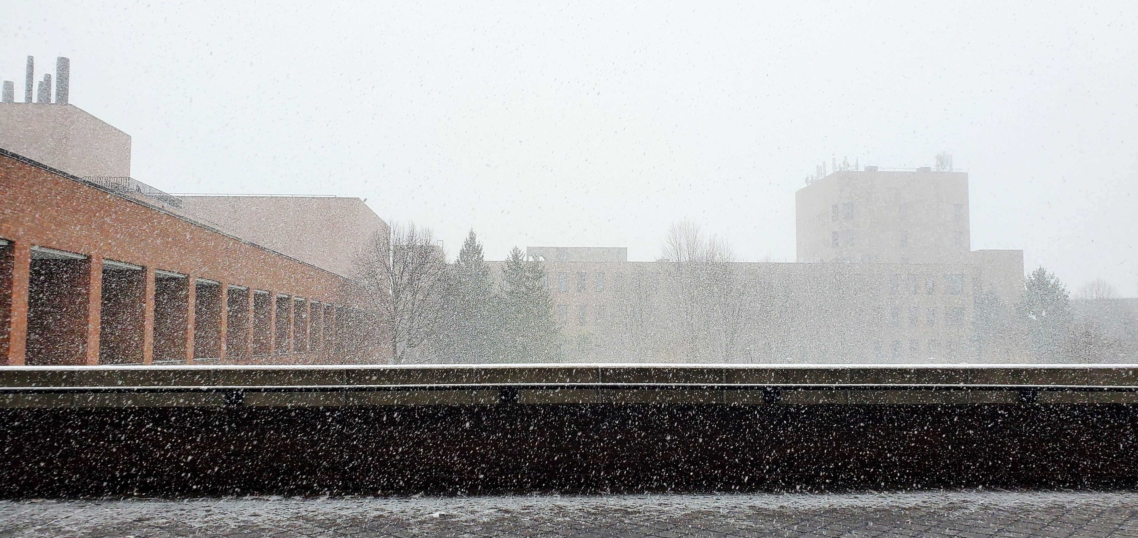 February, 2024 | Snow Day