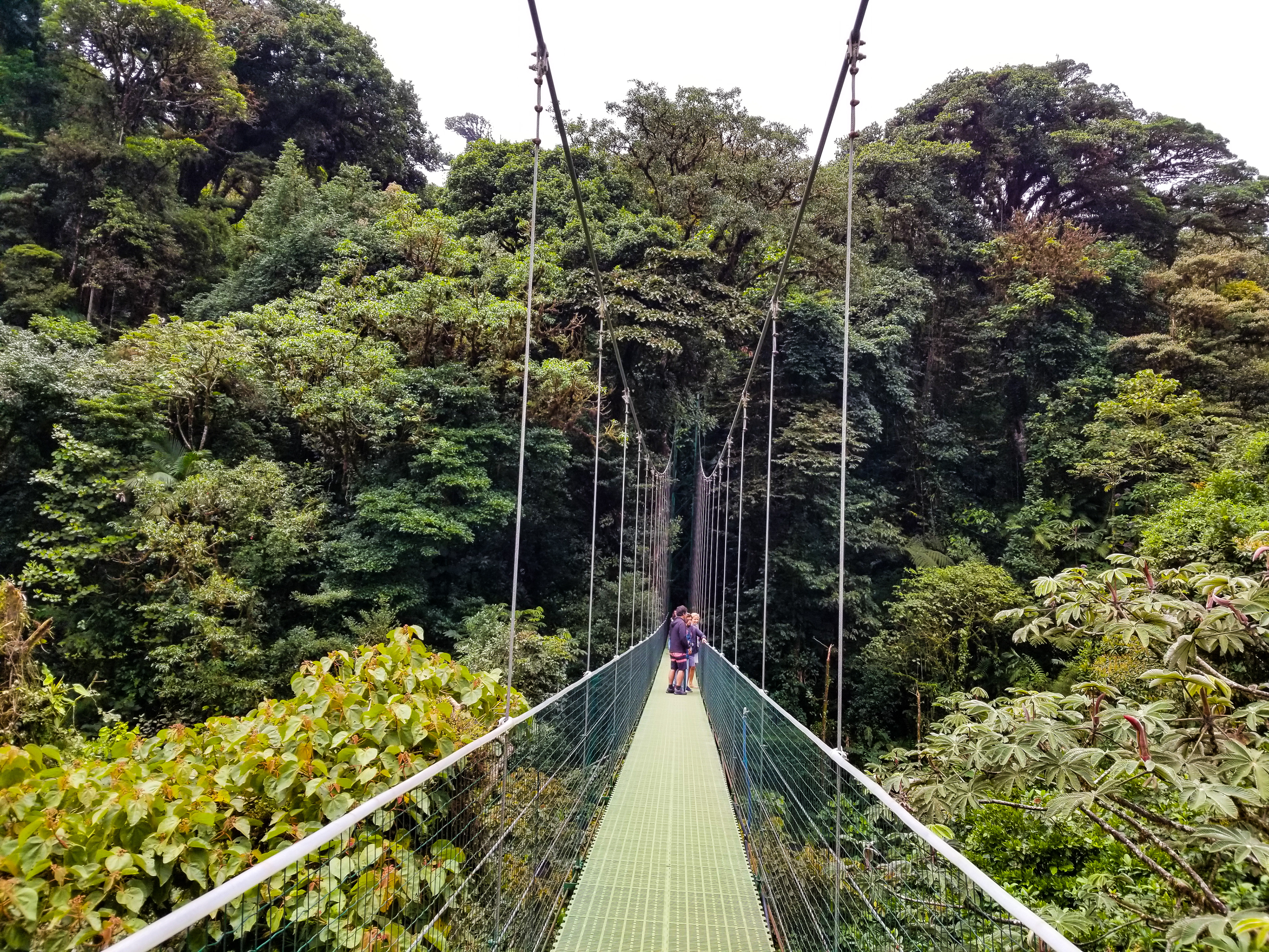 August, 2020 | Costa Rica