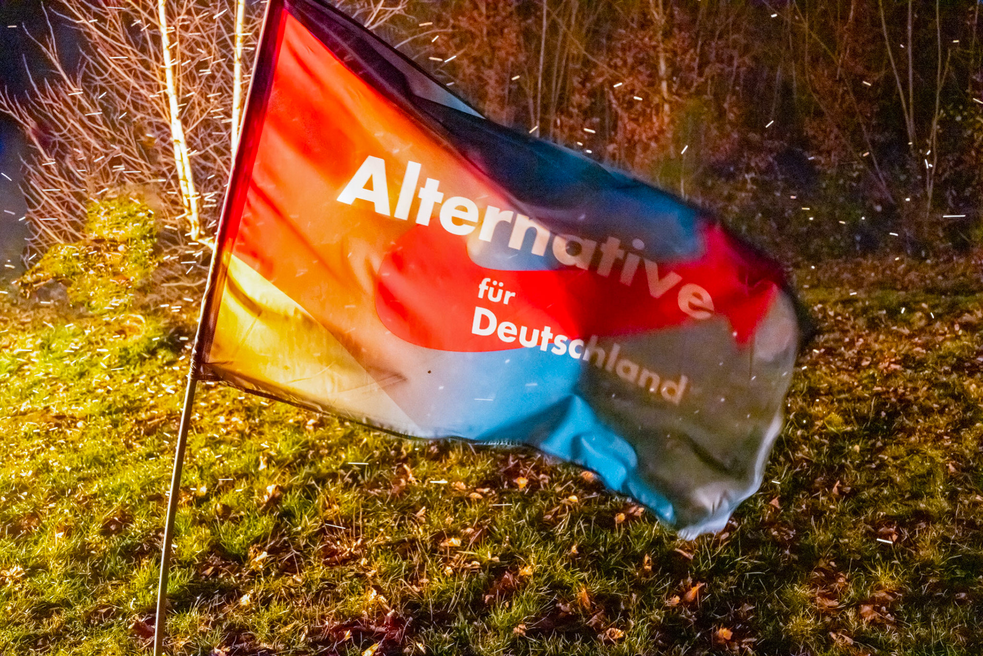 Veranstaltungen